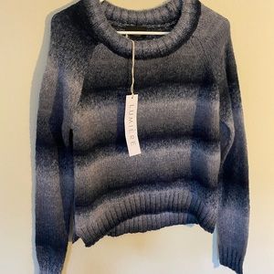 Lumiere Blue Ombre Stripped Sweater